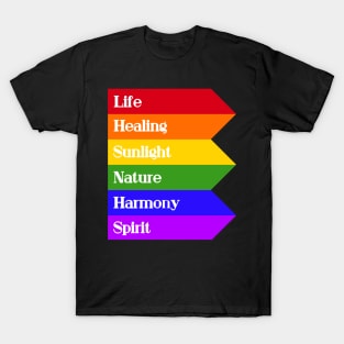 The Meaning of Pride (Modern) T-Shirt